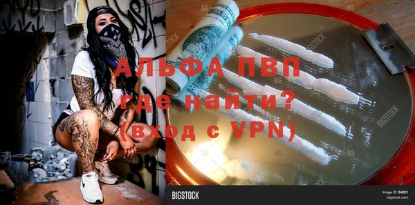 spice Аркадак