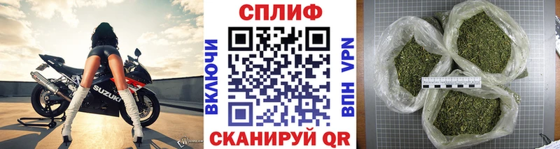 Конопля план  Изобильный 